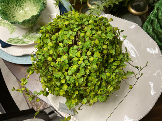 Moss Orb