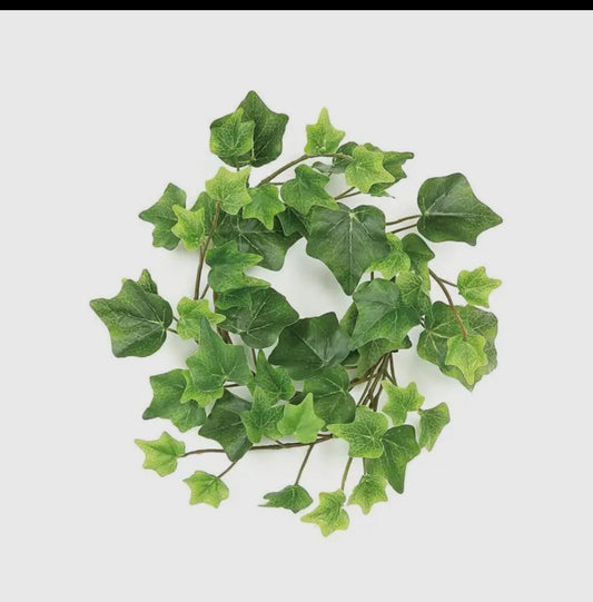 Ivy ring