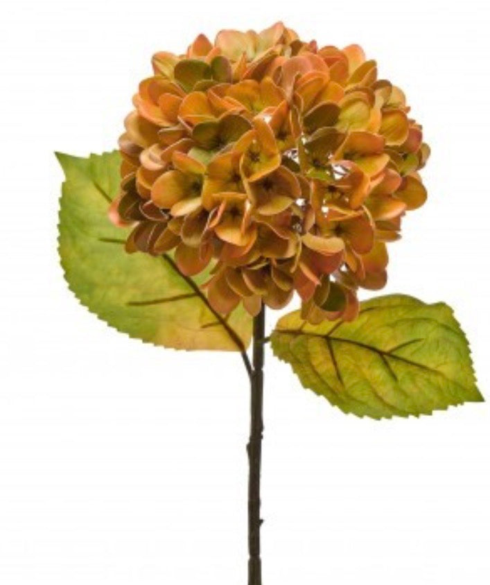 23"JUST CUT AUTUMN HYDRAGNEA