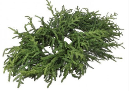 JUST CUTNORFOLK PINE CENTERPIECE