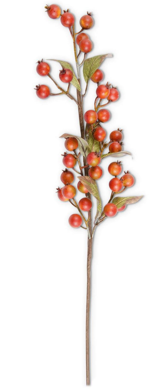 32 Inch Burnt Orange Rosehip Stem