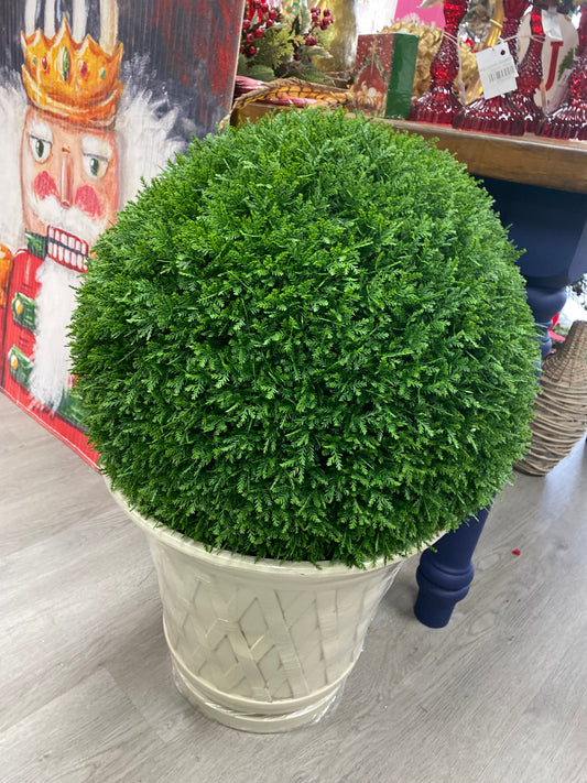 Cedar topiary ball uv rated