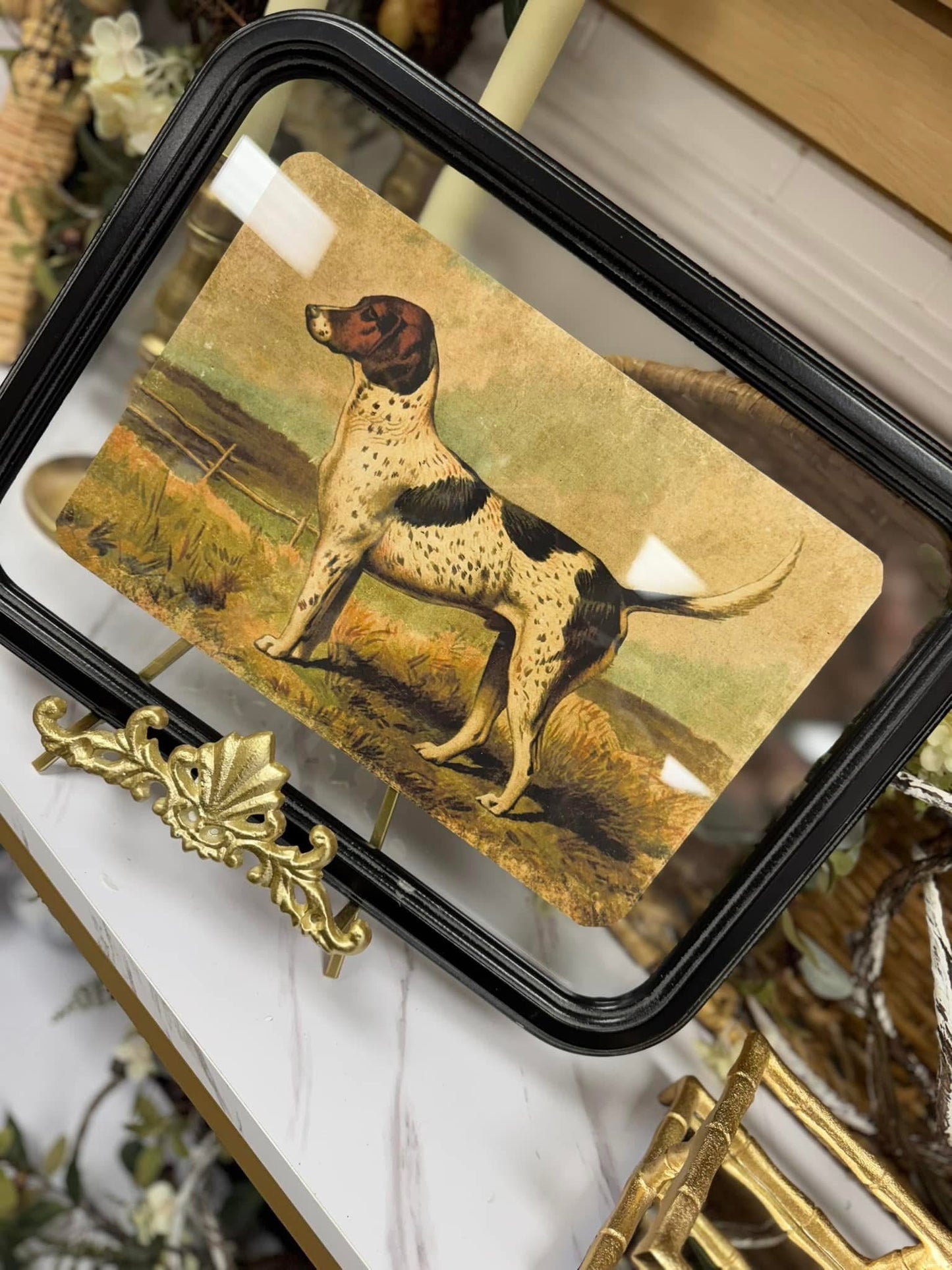 Framed dog print