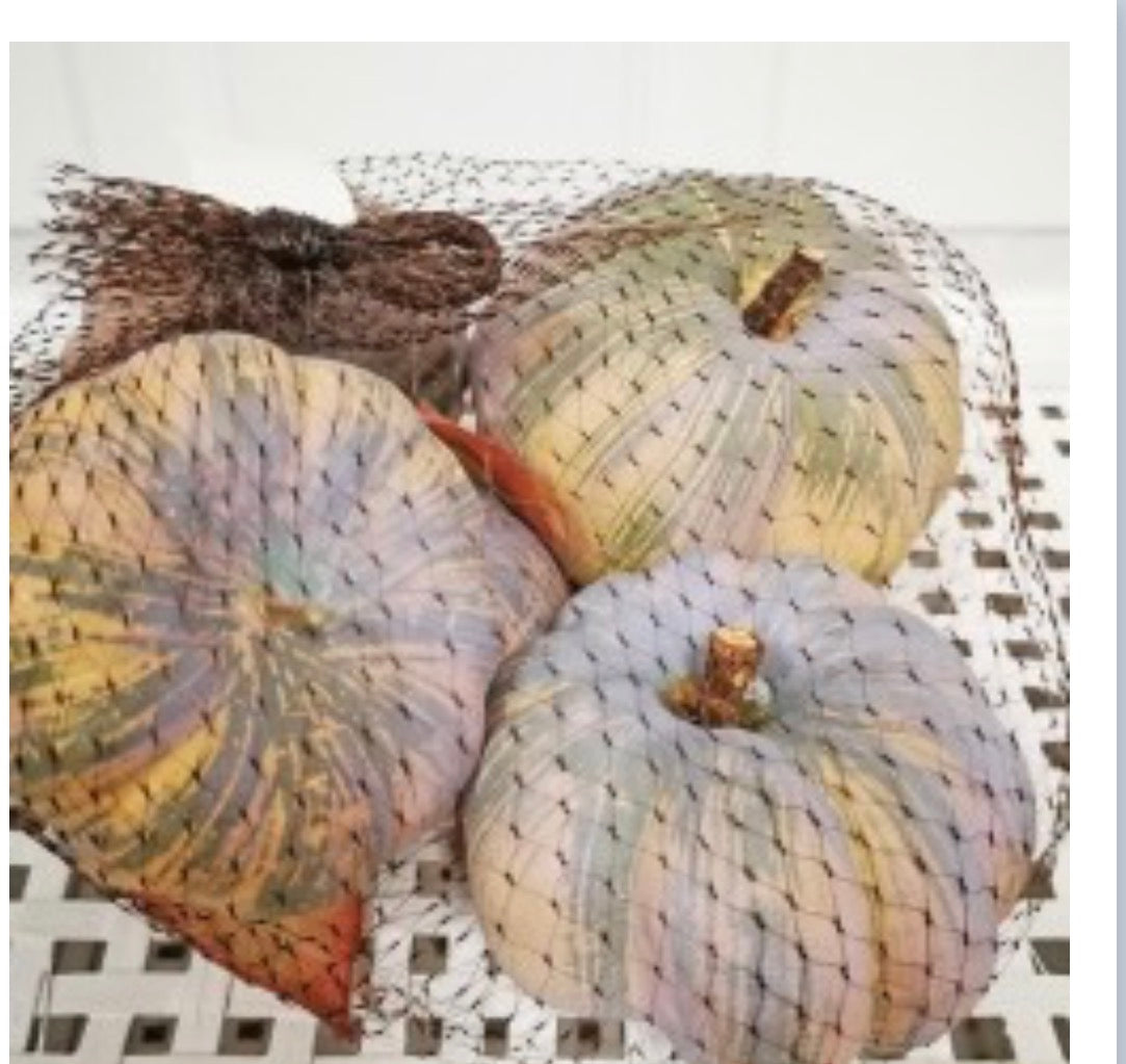6 piece bagged assorted pumpkins