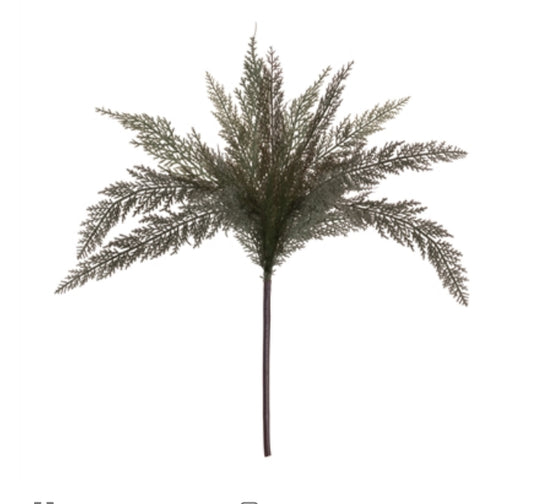 PINE SPRAY 24.5”H