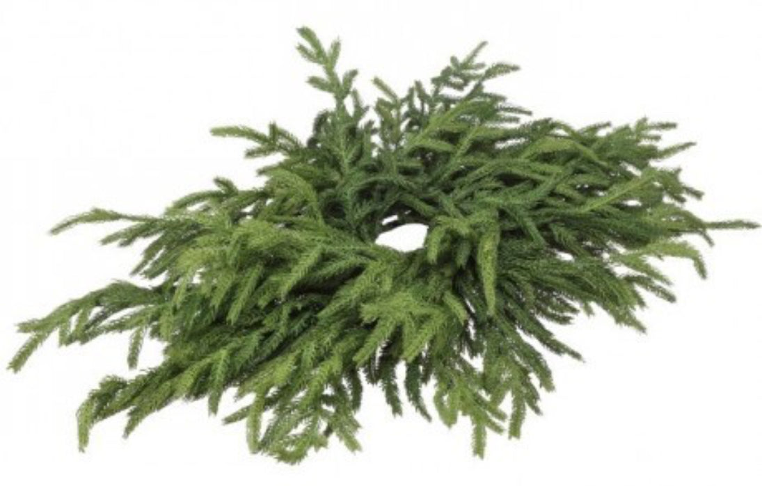 JUST CUTNORFOLK PINE CENTERPIECE