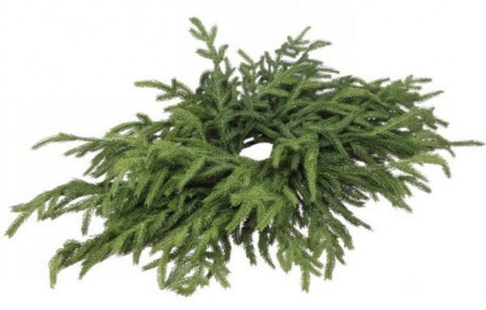 JUST CUTNORFOLK PINE CENTERPIECE