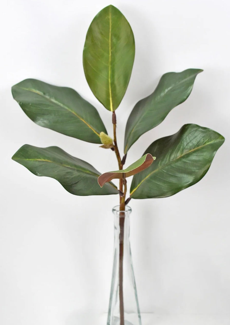 20IN MAGNOLIA SPRAY