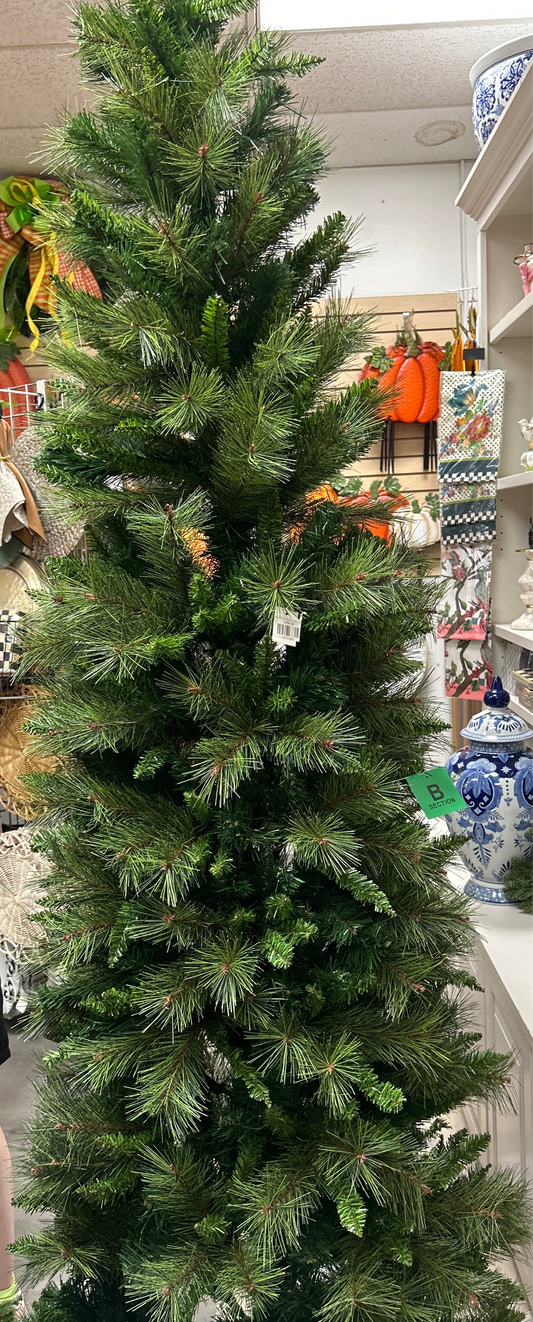 7.5' BELGIUM MIX PENCIL TREE, 771 T, 31"D