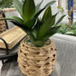 assorted foliage in round baskets