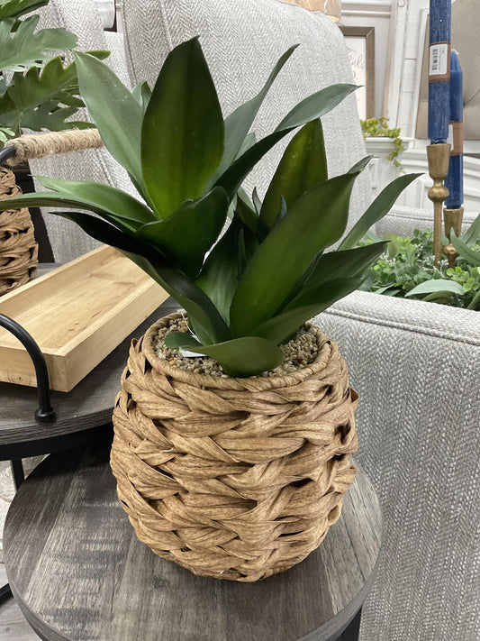 assorted foliage in round baskets