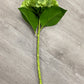 20” green real touch hydrangea spray