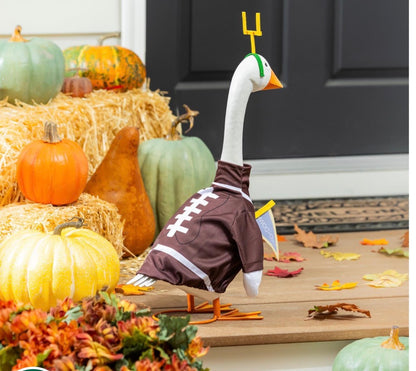 Giddy the Goose Outfit, Football Post