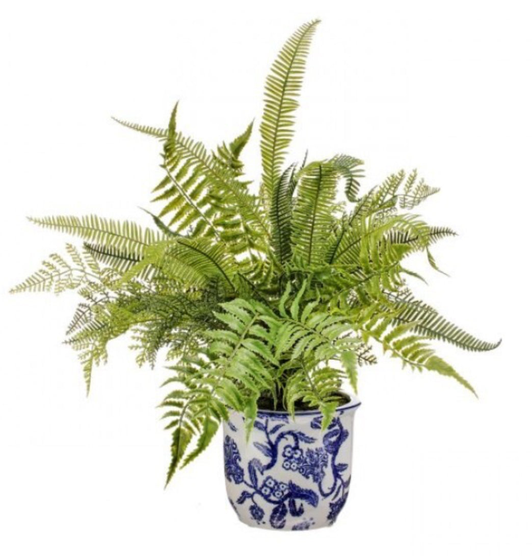 NATURAL Touch MIXED FERN IN CERAMIC POT 20"