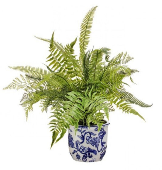 NATURAL Touch MIXED FERN IN CERAMIC POT 20"