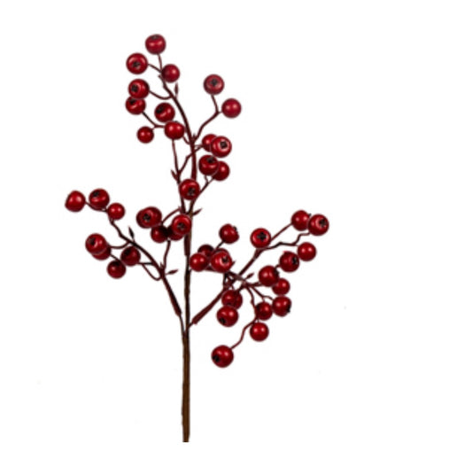 Berry Pick Outdoor