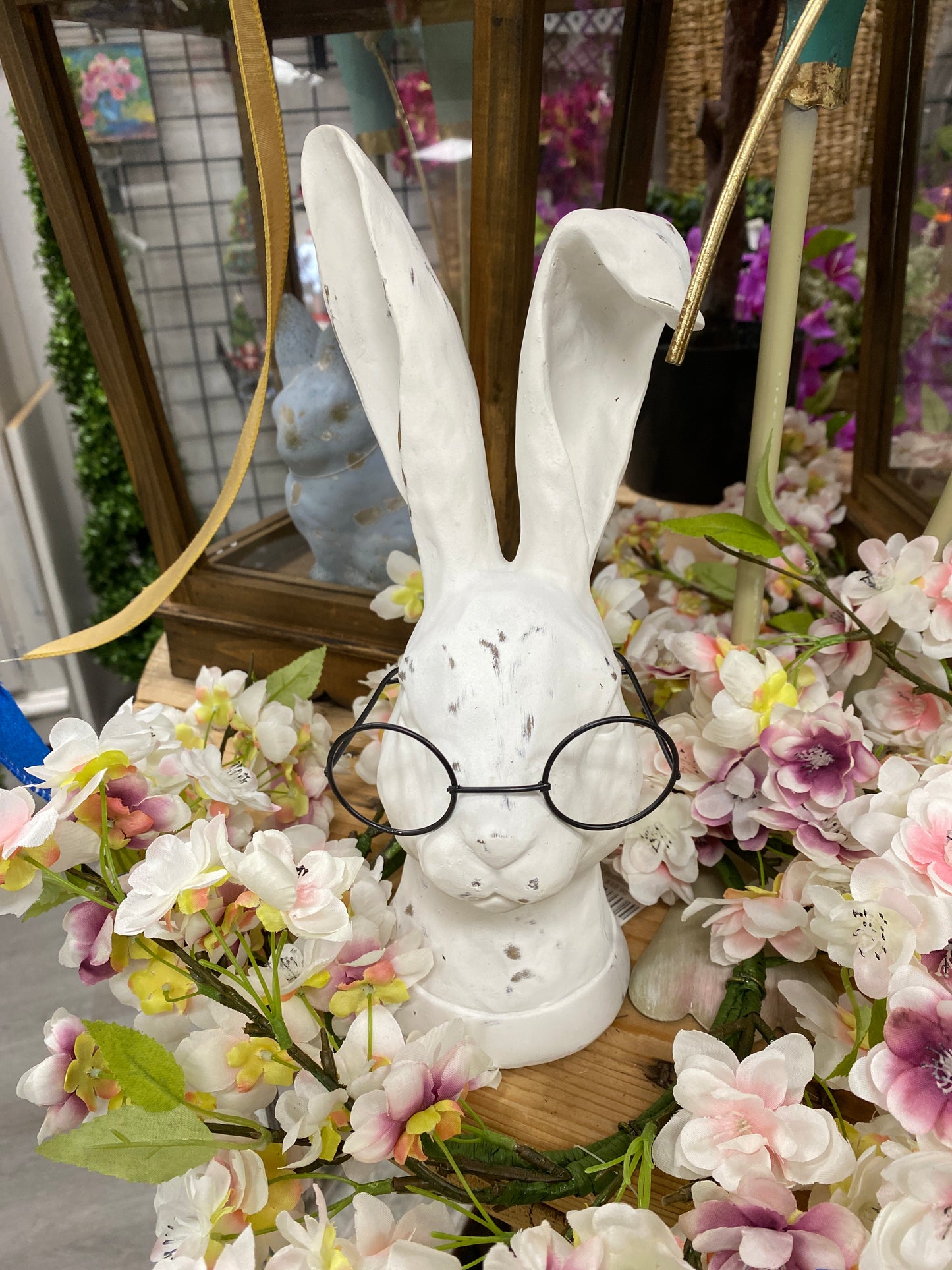 Rabbit with glasses