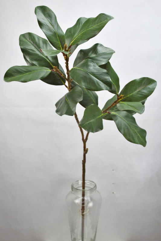 45” magnolia spray