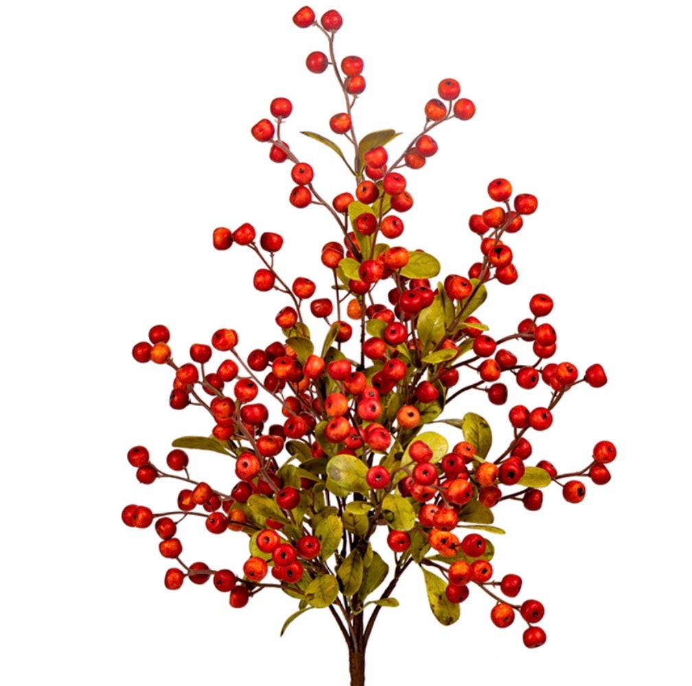 24” Berry Bush/Orange
