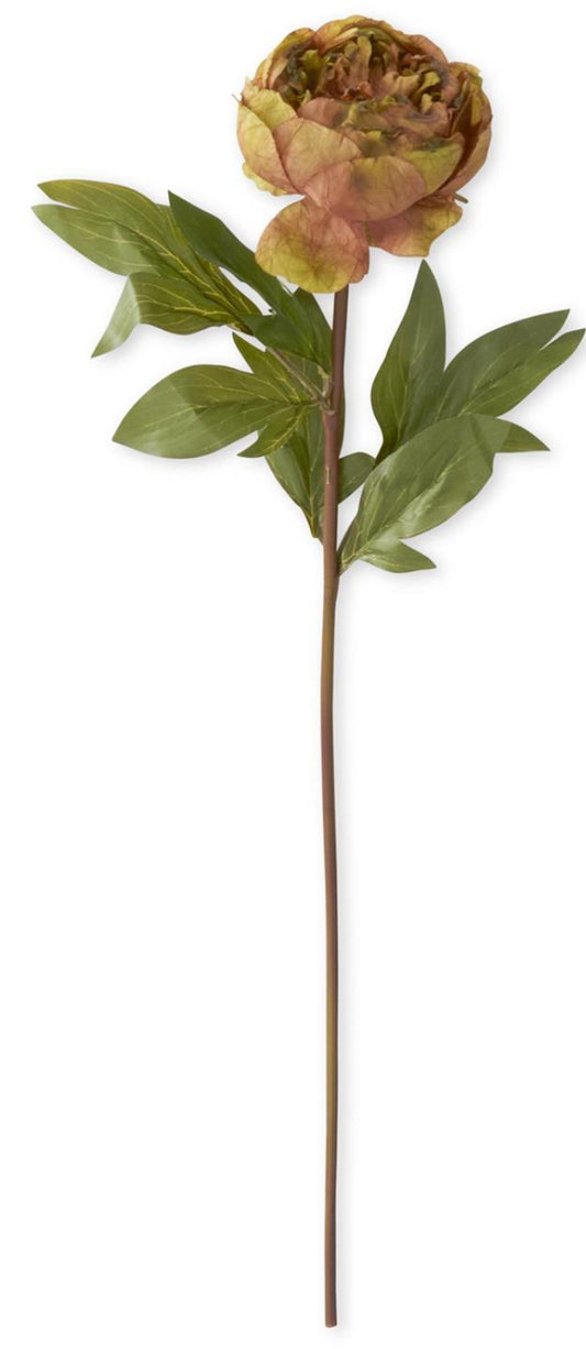 24 Inch Green w/Pink Faux Dried Peony Stem