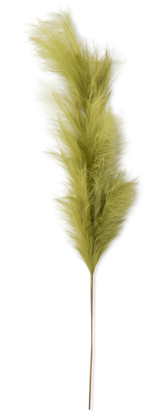 58.5 Inch Green Pampas Grass Stem