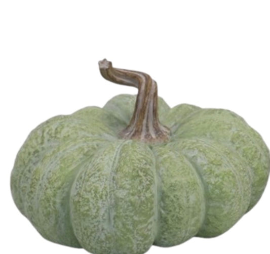Green 5" Flat Pumpkin