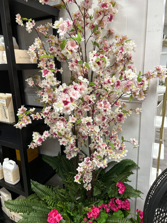 6.5’ cherry blossom tree