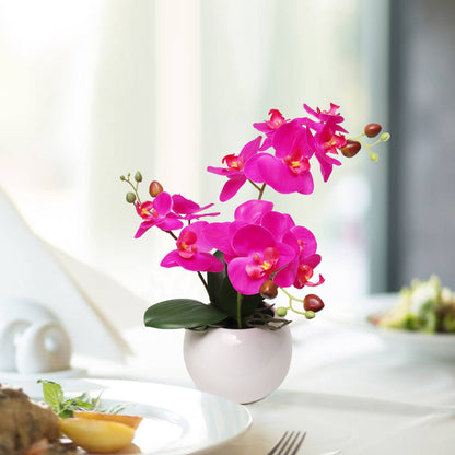 13-Inch Fuchsia Phalaenopsis Orchid Flowers In 5-Inch Round