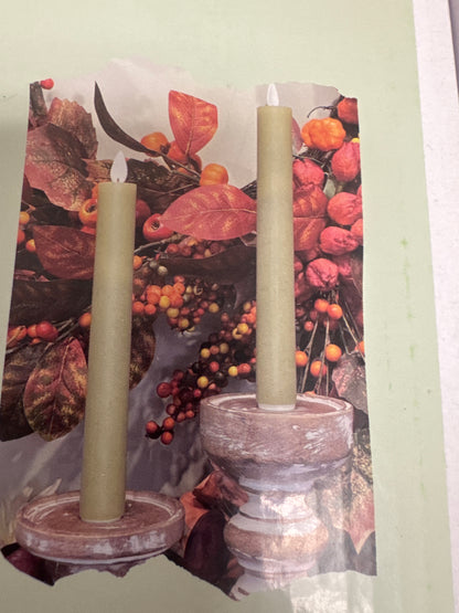 Fall taper candles set of 2