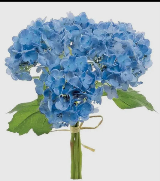 Blue hydrangea bundle