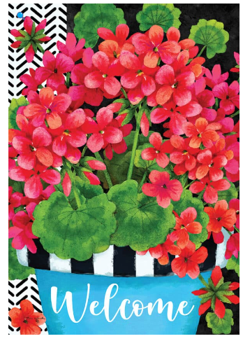 Blue Pot Geranium