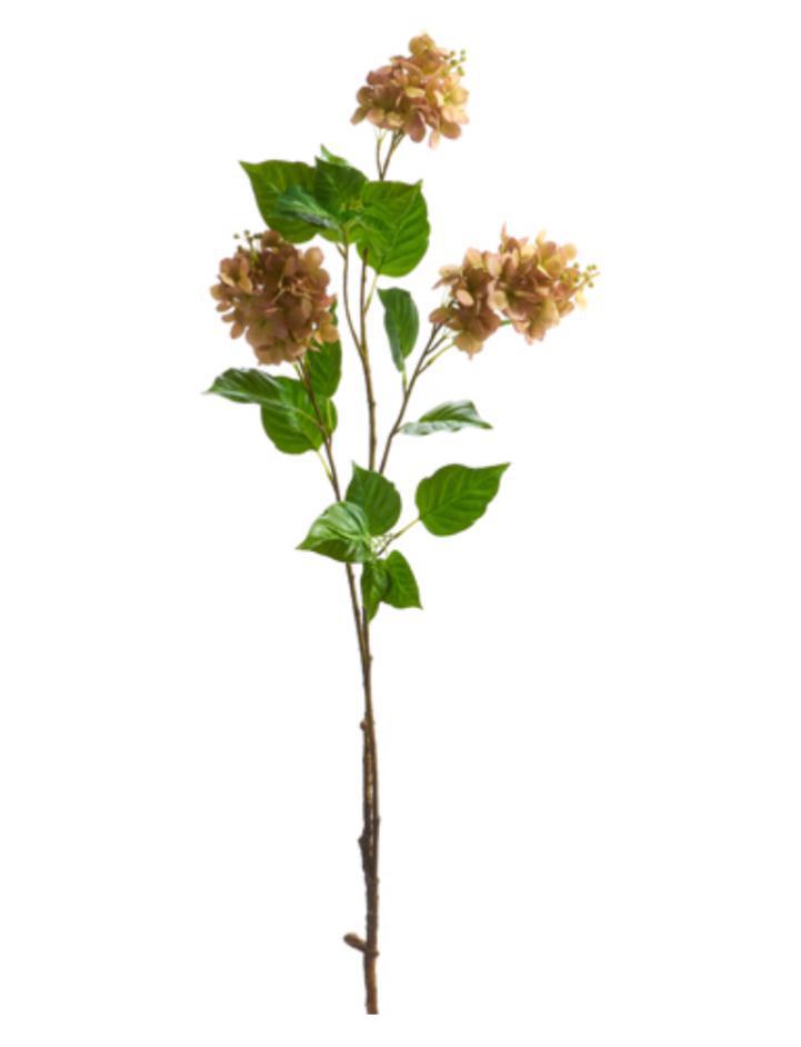 dried hydrangea spray