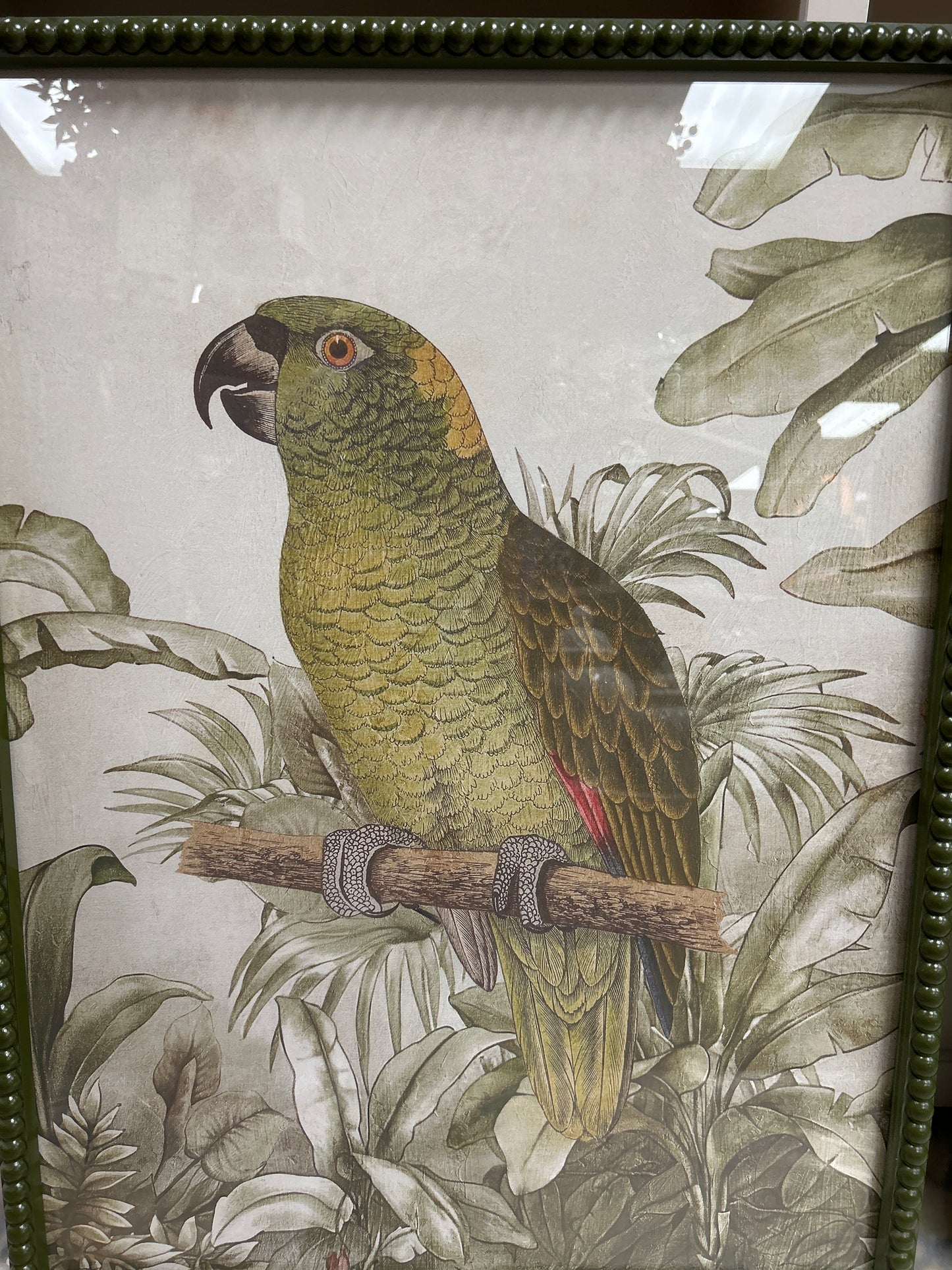 Tropical Parrot Prints