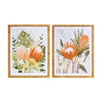 Protea framed print