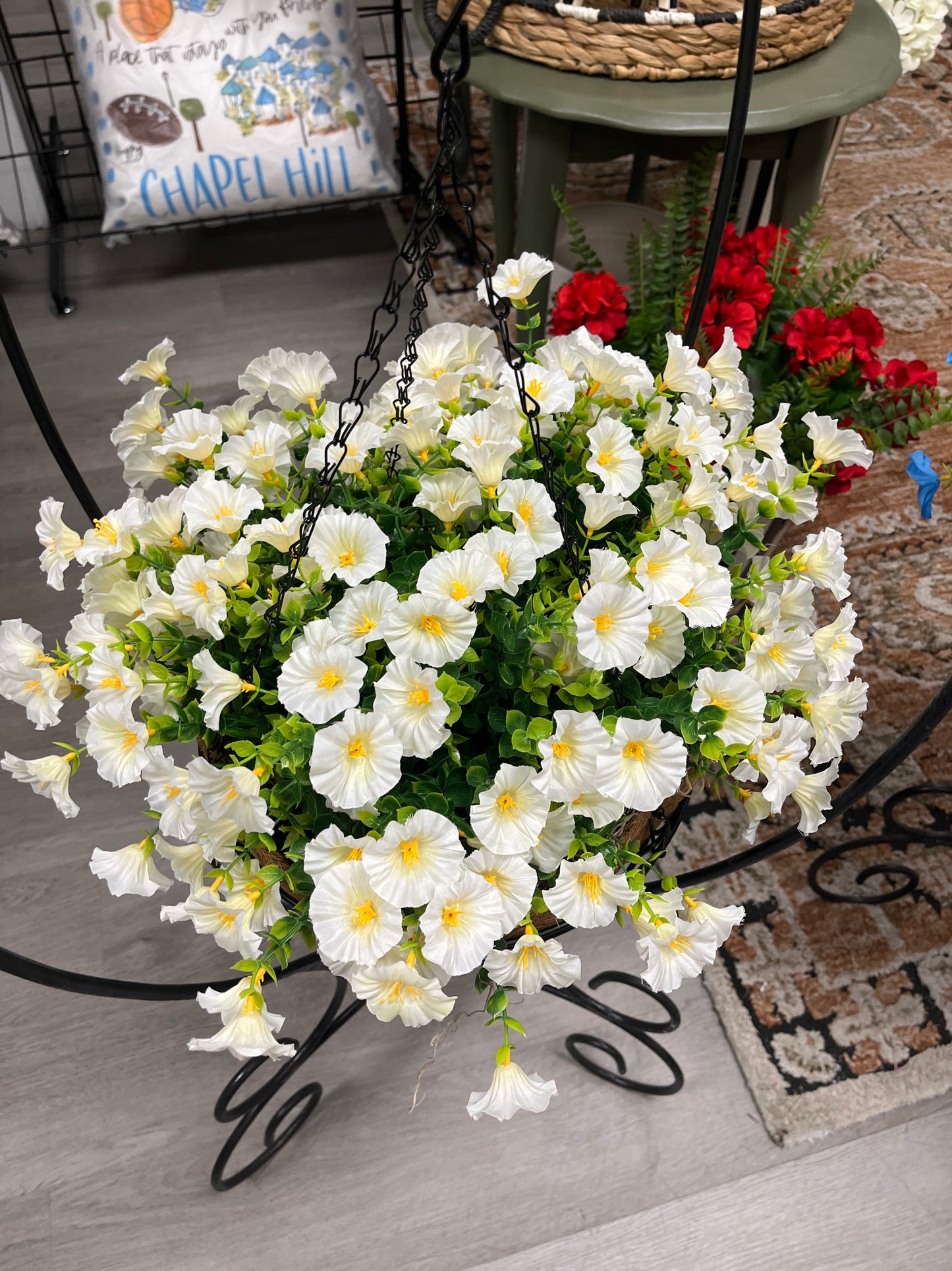 Petunia hanging basket