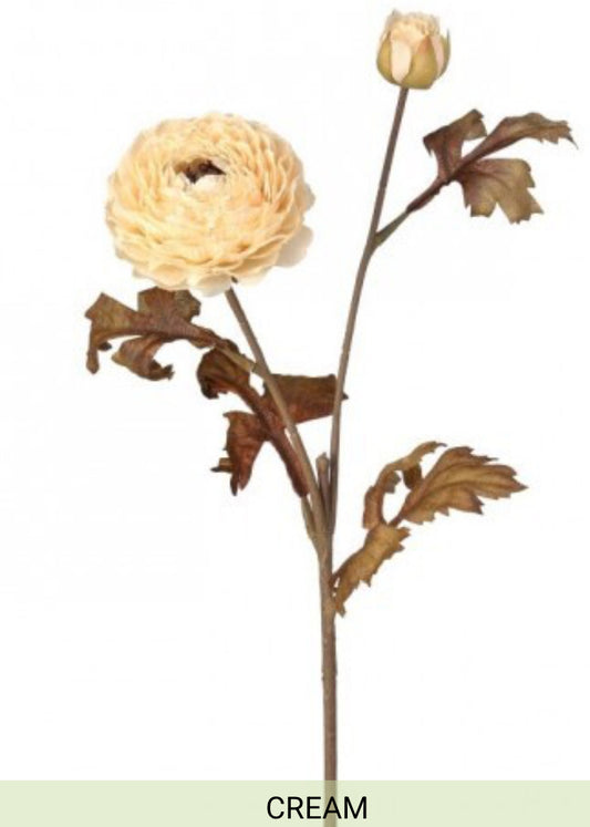 24” autumn ranunculus stem