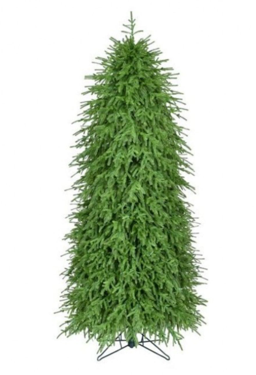 7' NAT TCH NORFOLK TREE 908T 36"D
