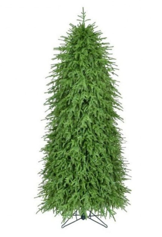 7' NAT TCH NORFOLK TREE 908T 36"D