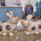 Black bunny pair