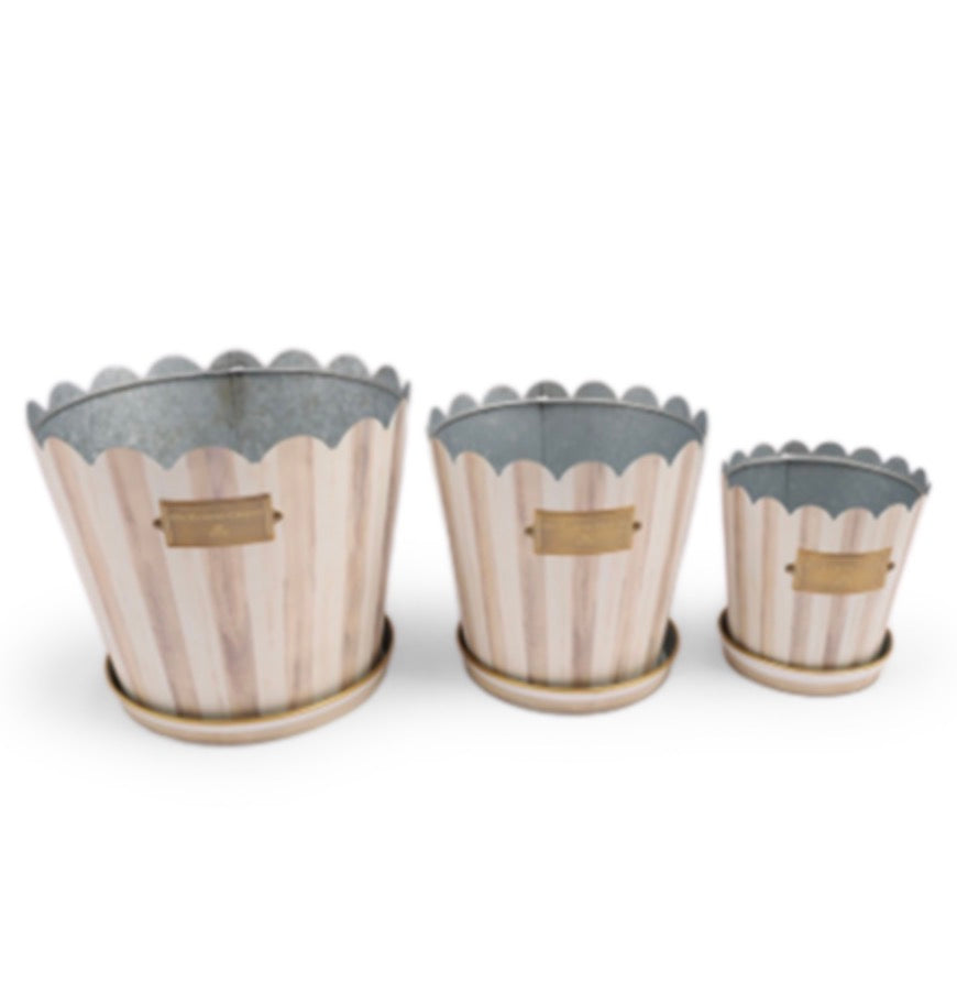 mocha stripe pots & saucers