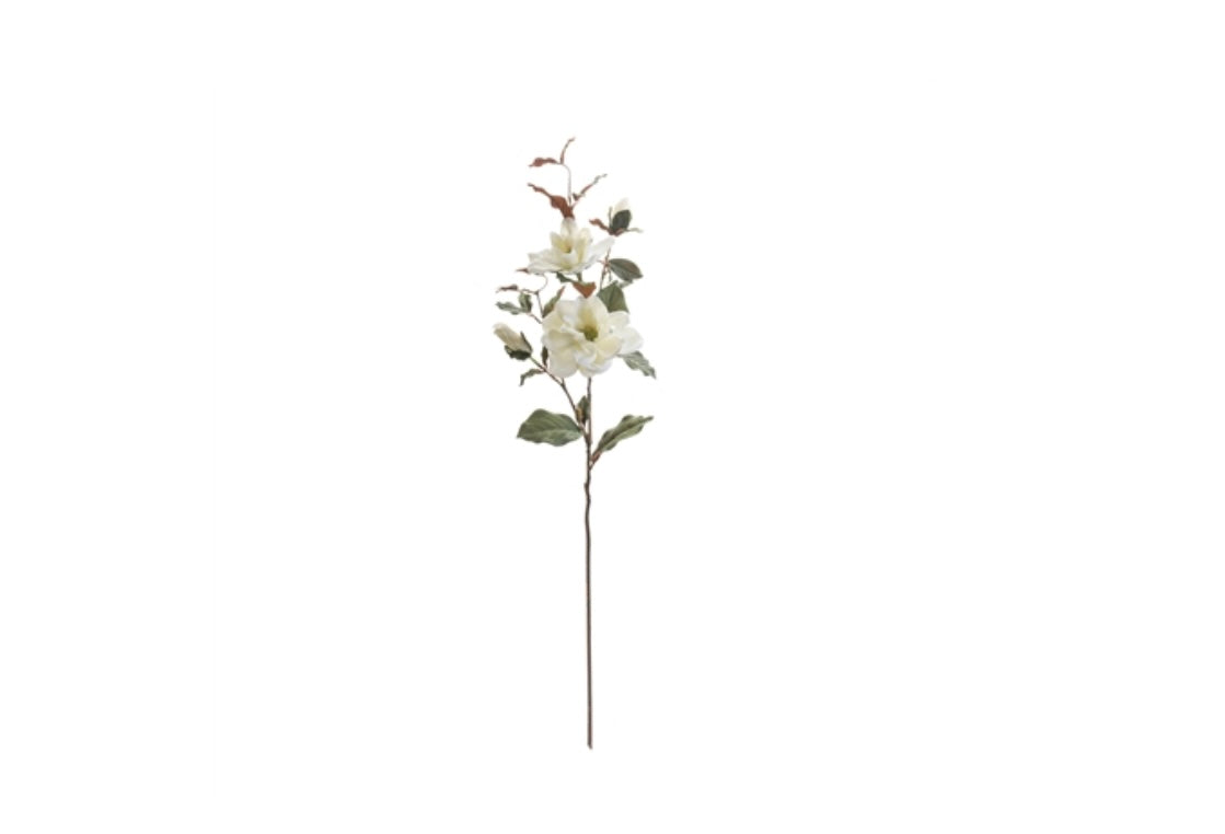 Magnolia spray