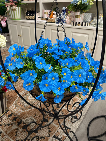 Petunia hanging basket