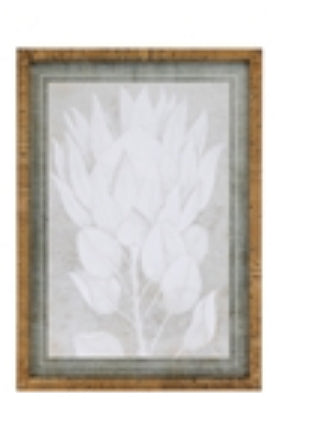 Framed protea print