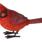 4” cardinal