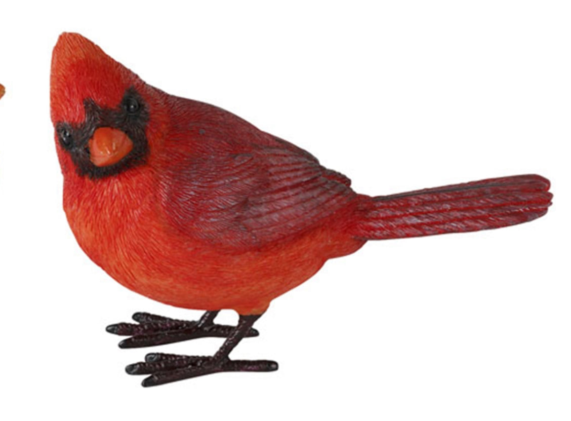 4” cardinal