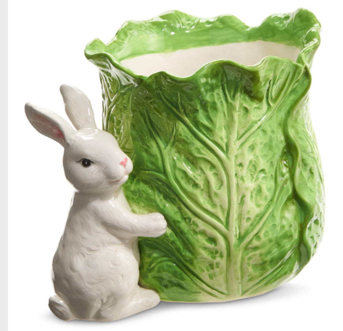 Green Cabbage Container with Bunny