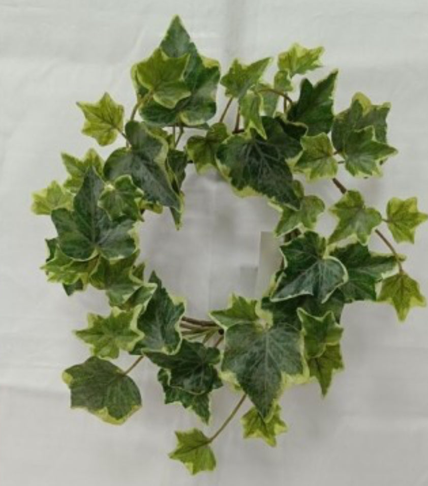 8” English ivy ring