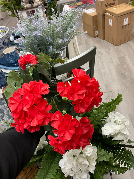 GERANIUM BUSH w 5 flowers Salmon