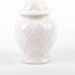 Textured Ginger Jar White