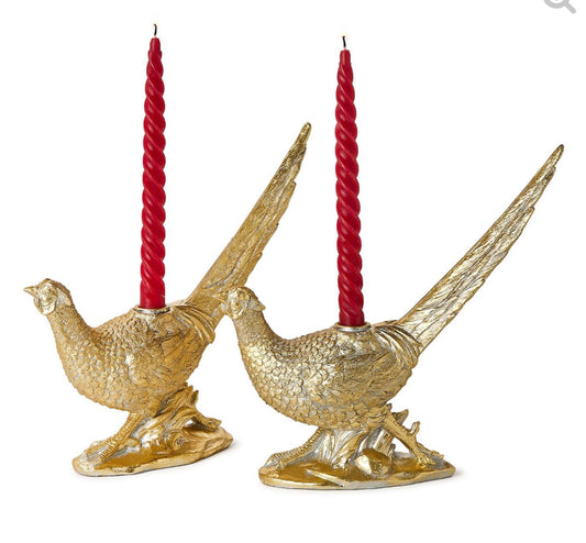 Gold Pheasant